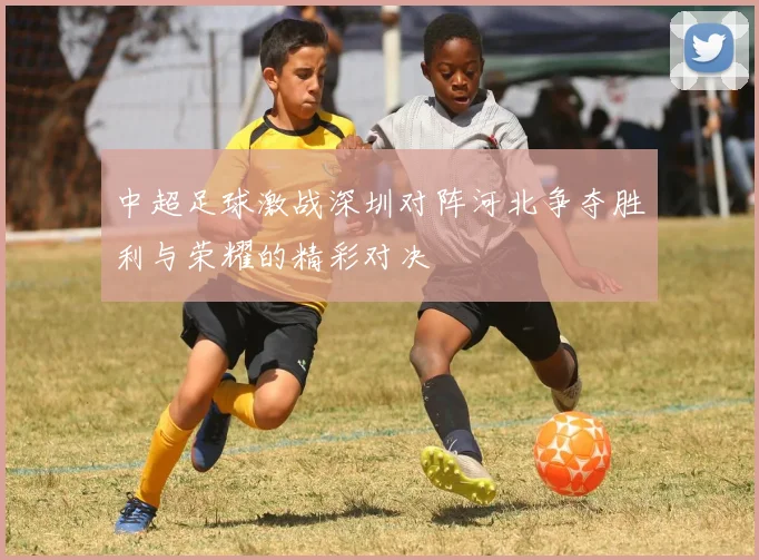 中超足球激战深圳对阵河北争夺胜利与荣耀的精彩对决