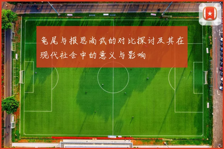 龟尾与报恩尚武的对比探讨及其在现代社会中的意义与影响