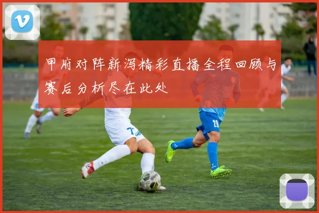 甲府对阵新泻精彩直播全程回顾与赛后分析尽在此处
