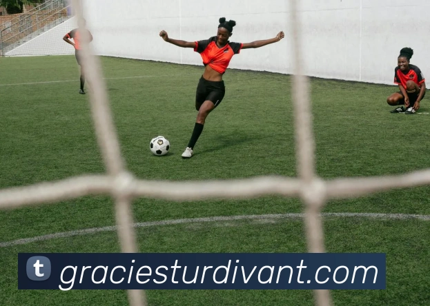 多媒体互动体验